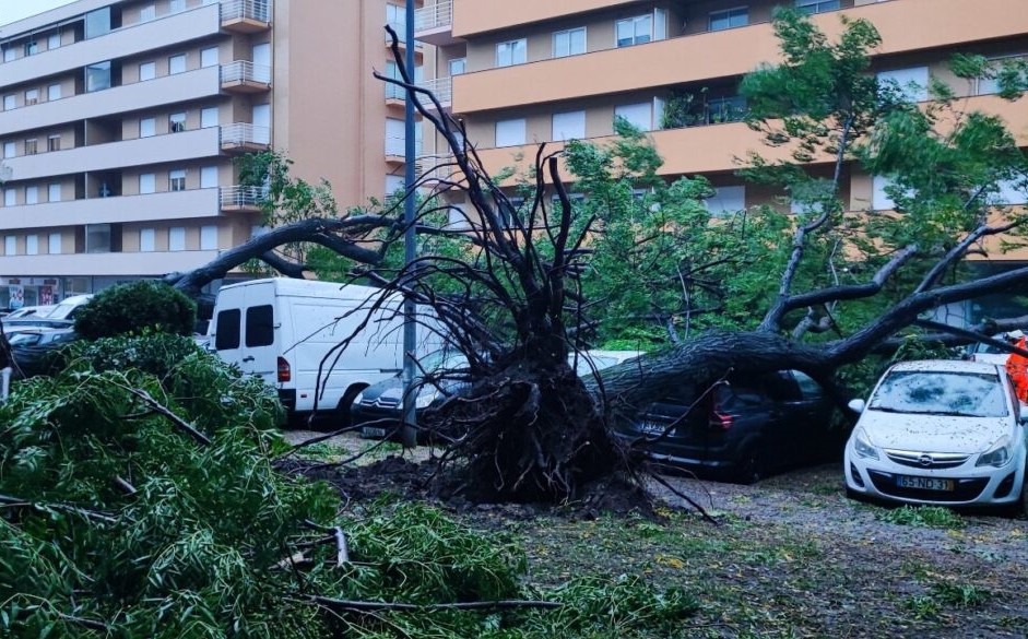 Tempestade Kirk teve ‘ventos anómalos’ e derrubou mais de 130 árvores em Braga