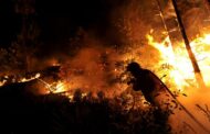 Cinco freguesias de Braga com explorações agrícolas afectadas pelos incêndios