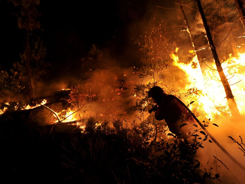 Cinco freguesias de Braga com explorações agrícolas afectadas pelos incêndios