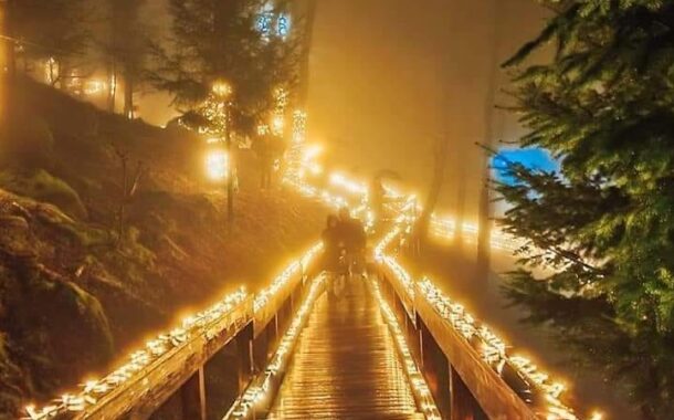 Arcos de Valdevez oferece um Natal com ‘Floresta Encantada Porta do Mezio’