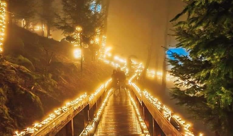 Arcos de Valdevez oferece um Natal com ‘Floresta Encantada Porta do Mezio’