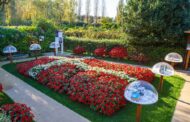 ‘Jardim Dinamarquês’ vence Festival Internacional de Jardins de Ponte de Lima