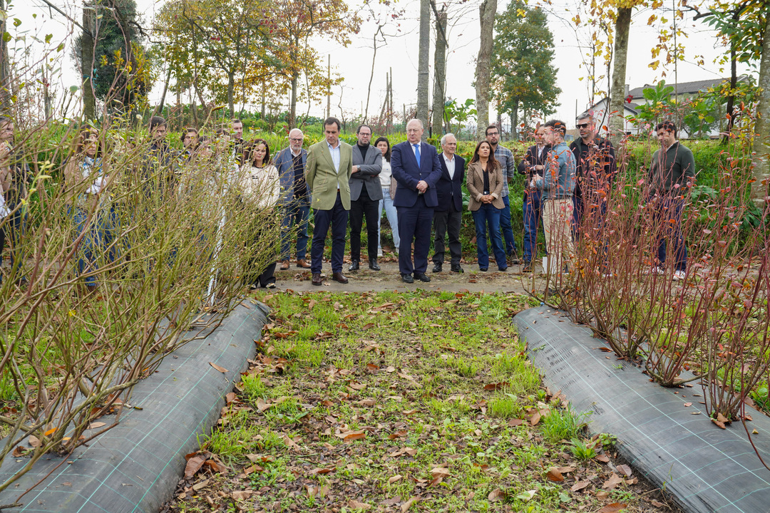 Guimarães. José Manuel Fernandes visita centro hortícola de Moreira de Cónegos