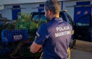 Máfia chinesa do meixão que actuava no Minho em prisão preventiva