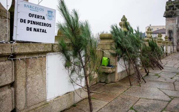 Câmara de Barcelos oferece Pinheirinhos de Natal