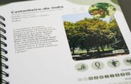 Guimarães já tem guia sobre 50 árvores do concelho