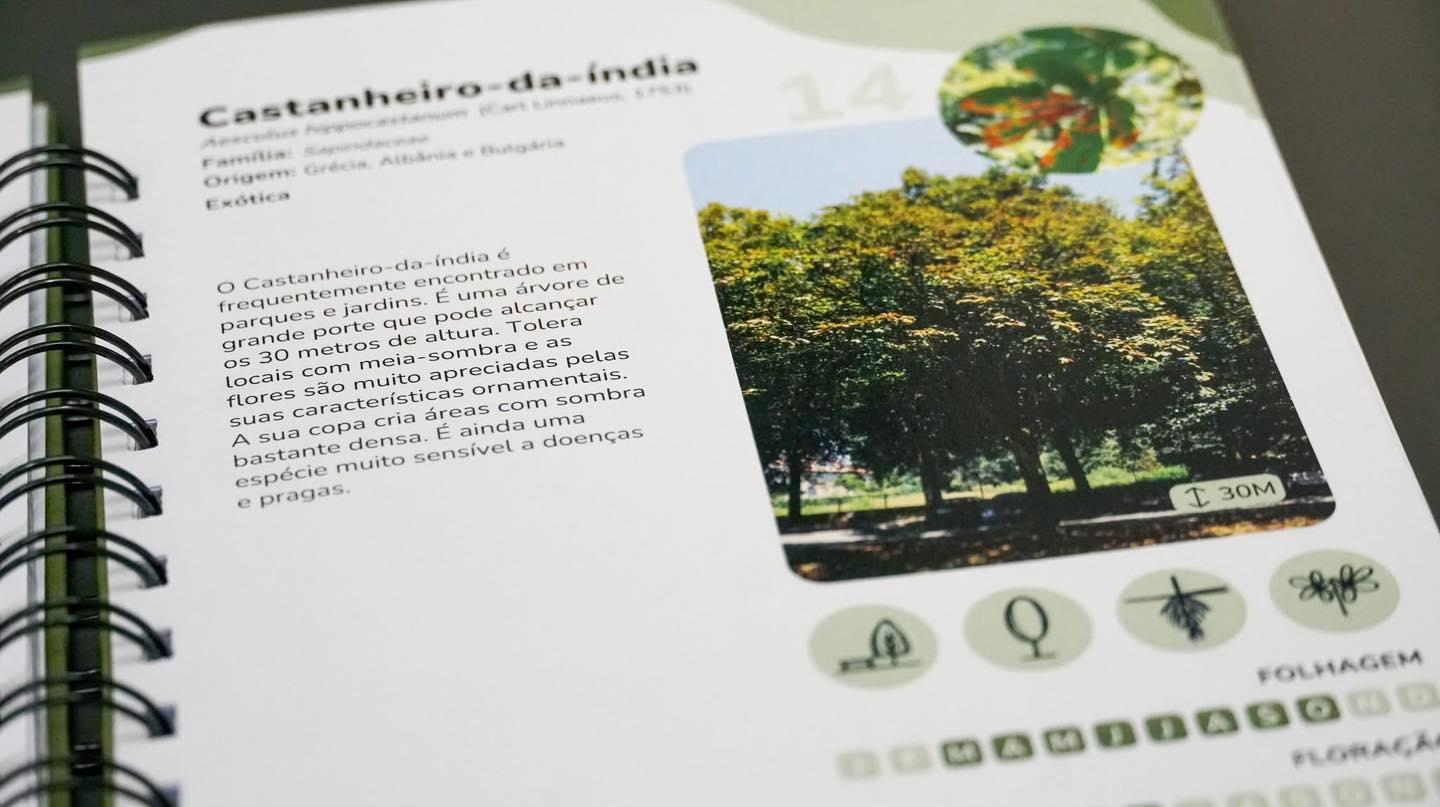 Guimarães já tem guia sobre 50 árvores do concelho