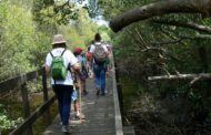 Área Protegida em Ponte de Lima já conta 2,5 milhões de visitantes