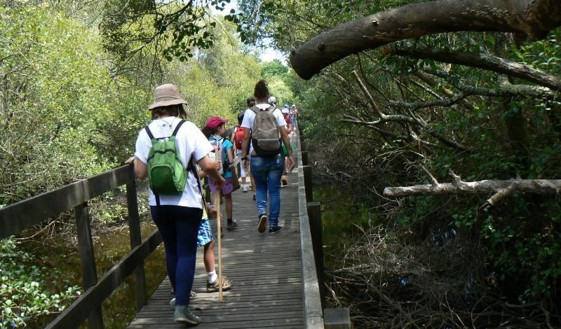 Área Protegida em Ponte de Lima já conta 2,5 milhões de visitantes