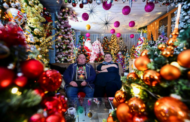 Casal bate recorde com mais de 600 árvores de Natal em casa