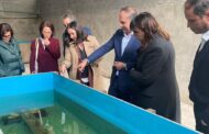 Património Cultural foi conhecer os canhões de Belinho, em Esposende
