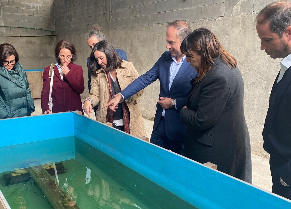 Património Cultural foi conhecer os canhões de Belinho, em Esposende
