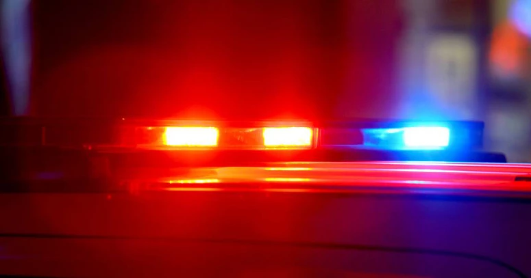 Homem atropelado mortalmente na A1 quando mudava pneu