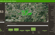 Guimarães disponibiliza inventário do património arbóreo em plataforma onlin