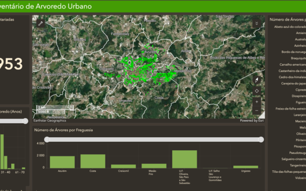 Guimarães disponibiliza inventário do património arbóreo em plataforma onlin