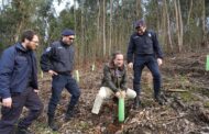 Braga protege encosta da Falperra com árvores autóctones e cria corredor seguro para caminhantes