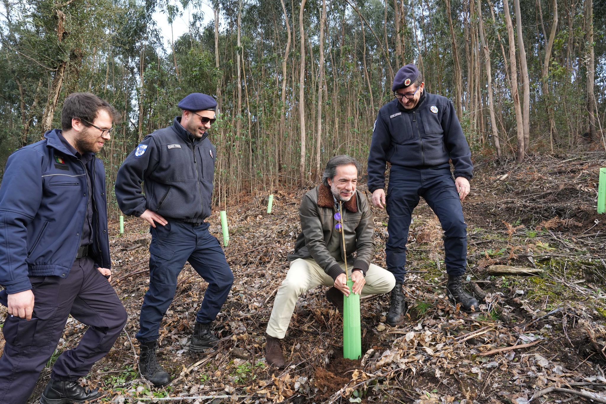 Braga protege encosta da Falperra com árvores autóctones e cria corredor seguro para caminhantes