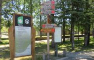 Ministra do Ambiente anuncia investimento de 3,8 milhões de euros no Parque Peneda-Gerês