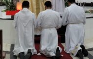 Homossexuais podem entrar nos seminários desde que sejam celibatários