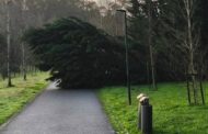 Famalicão. Hermínia faz estragos no Parque da Devesa
