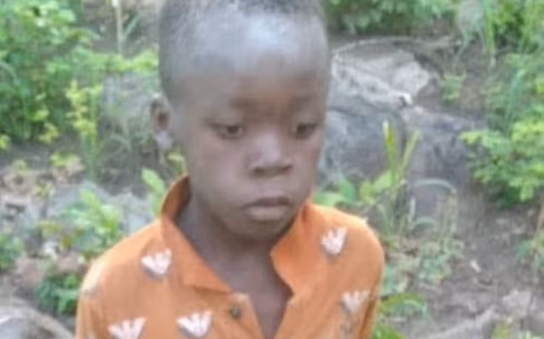 Menino de oito anos encontrado vivo após cinco dias sozinho rodeado de 40 leões