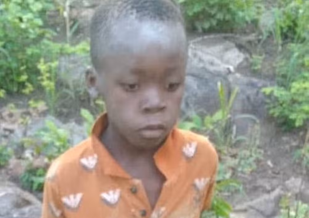 Menino de oito anos encontrado vivo após cinco dias sozinho rodeado de 40 leões