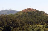 Braga. Monte Picoto a caminho da integração na Rede Nacional de Santuários de Aves