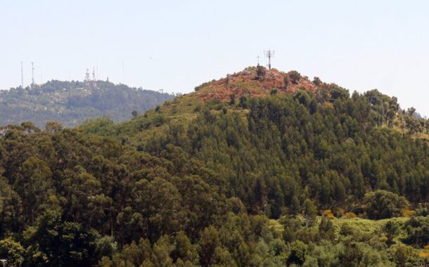 Braga. Monte Picoto a caminho da integração na Rede Nacional de Santuários de Aves