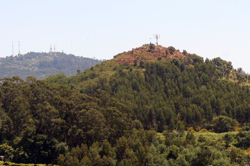 Braga. Monte Picoto a caminho da integração na Rede Nacional de Santuários de Aves
