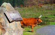 Ponte da Barca recebe 400 mil euros para valorização das freguesias do Parque Nacional da Peneda-Gerês