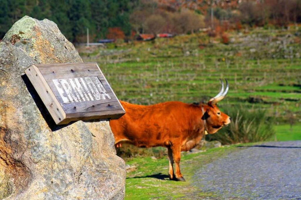 Ponte da Barca recebe 400 mil euros para valorização das freguesias do Parque Nacional da Peneda-Gerês