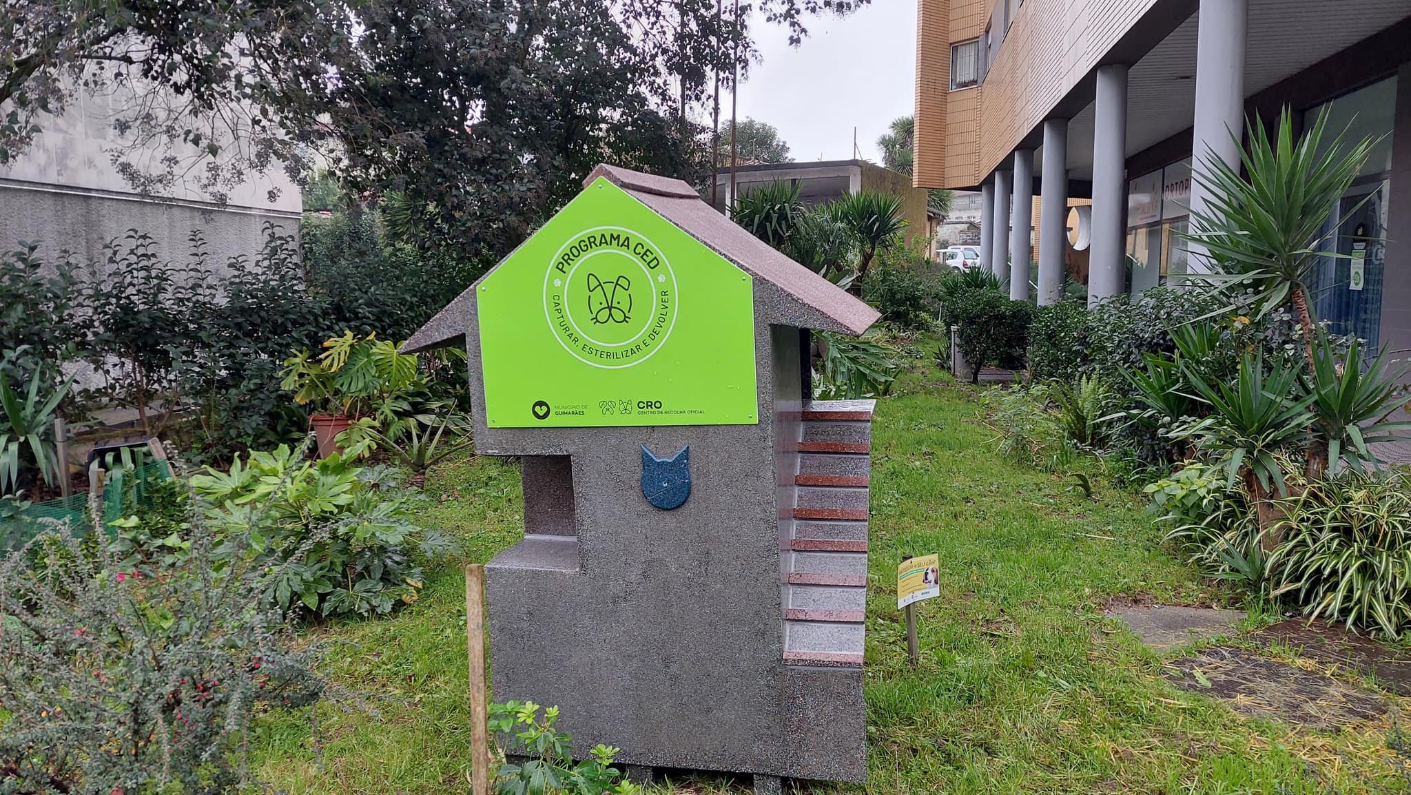 Guimarães coloca 20 abrigos para gatos de rua