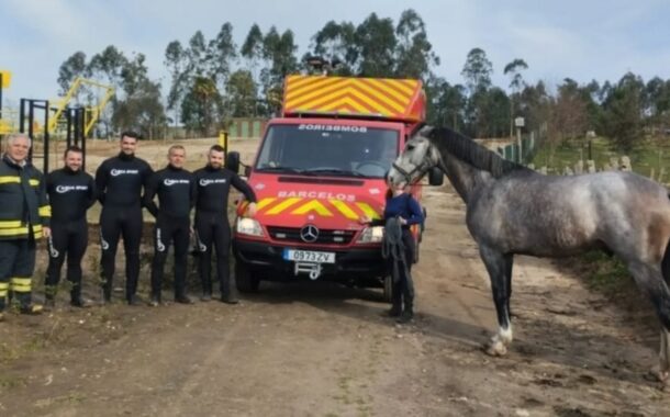 Bombeiros salvam cavalo que caiu ao rio Cávado em Barcelos