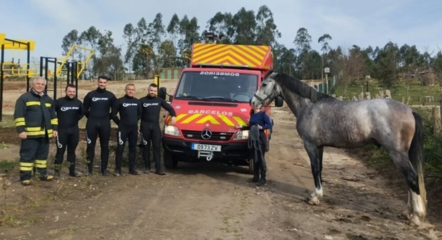 Bombeiros salvam cavalo que caiu ao rio Cávado em Barcelos