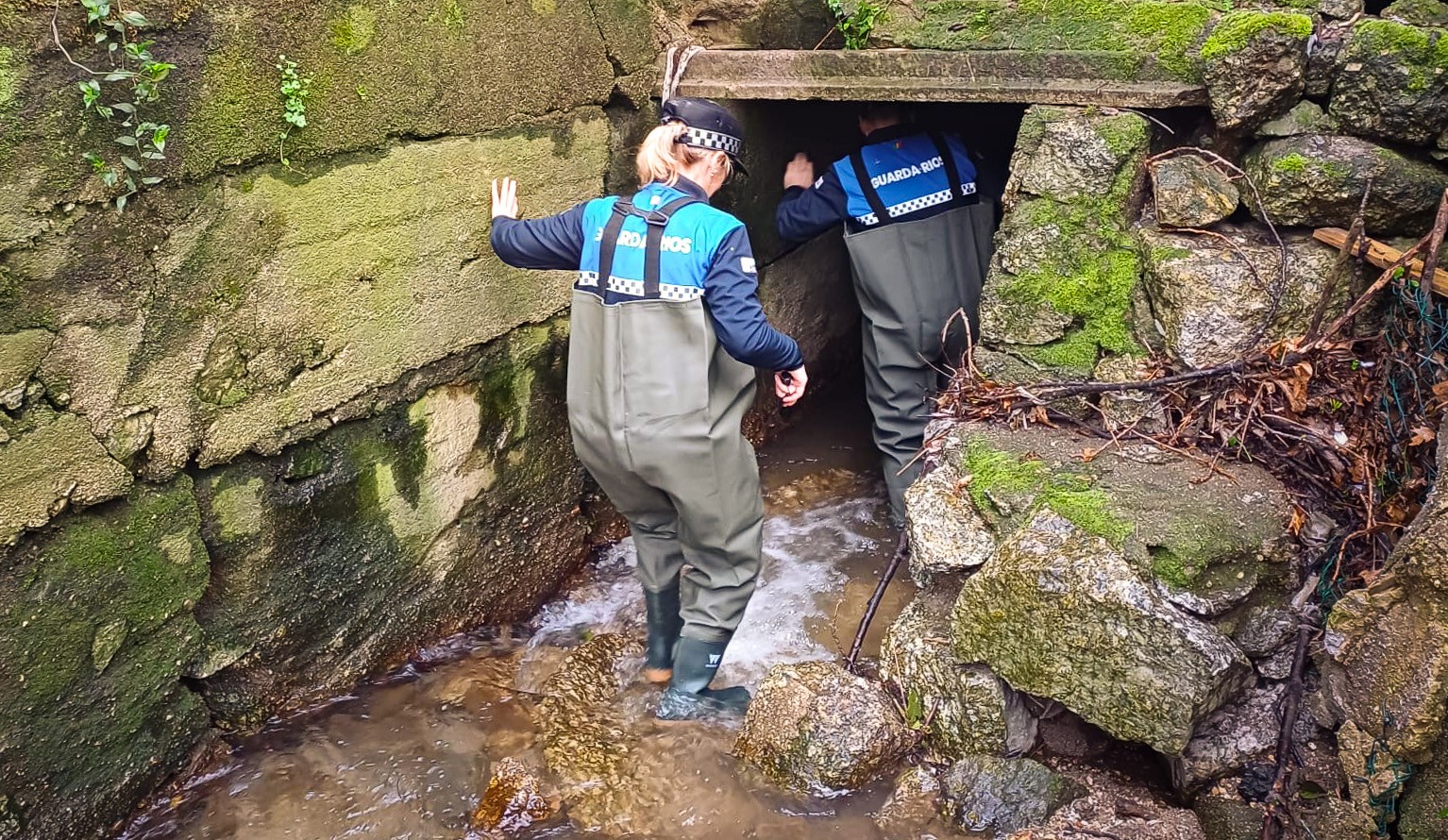 Guarda-rios procuram responsáveis pela poluição na ribeira da Horta Pedagógica de Guimarães