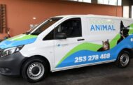 Bombeiros Sapadores de Braga resgataram 433 animais em 2024
