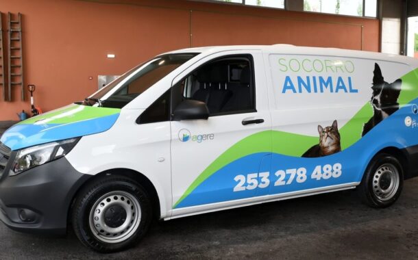 Bombeiros Sapadores de Braga resgataram 433 animais em 2024