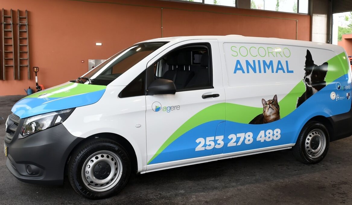 Bombeiros Sapadores de Braga resgataram 433 animais em 2024