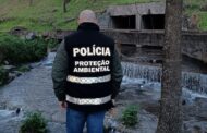 Descoberta origem das descargas que poluem ribeiras do centro de Guimarães´