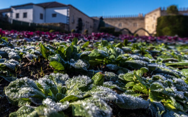 Frio. Braga activa Plano de Contingência para sem-abrigo