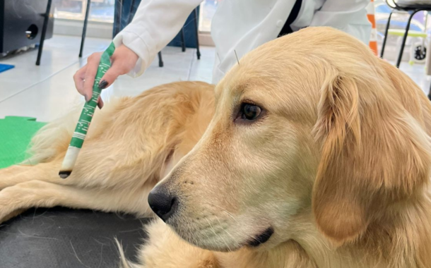 Braga lança plataforma digital de aconselhamento em saúde animal