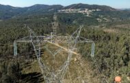 REN limpou 1034 hectares de floresta no Minho e 10 200 no país em 2024