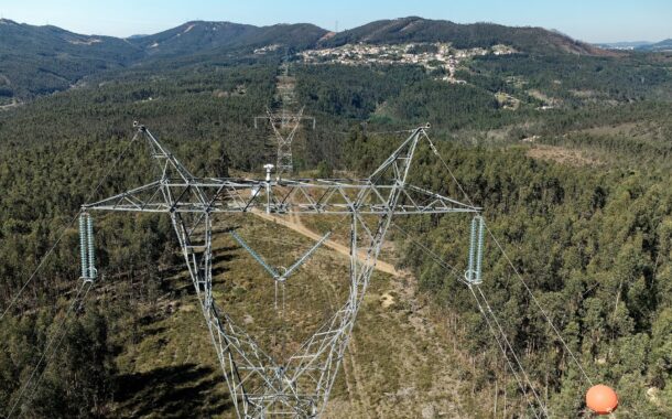 REN limpou 1034 hectares de floresta no Minho e 10 200 no país em 2024