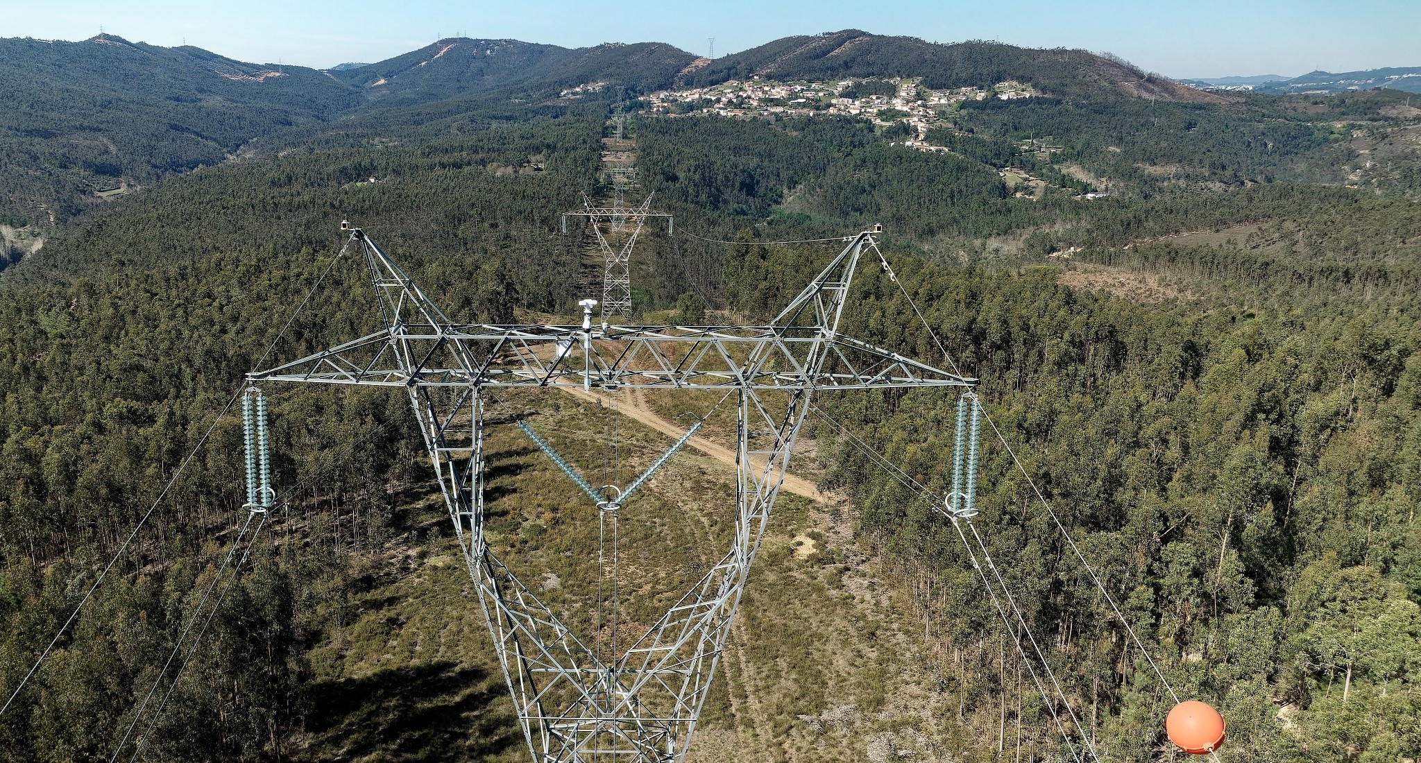 REN limpou 1034 hectares de floresta no Minho e 10 200 no país em 2024