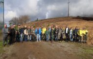 Aldeia em Viana transforma baldios em pomar para prevenir fogos