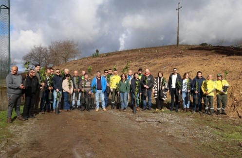 Aldeia em Viana transforma baldios em pomar para prevenir fogos