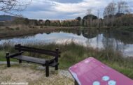 Investimento de mais de 470 mil euros requalifica parque ecológico urbano de Viana do Castelo