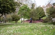Guimarães certificada como Destino Turístico Sustentável