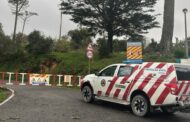 Mulher atingida por árvore em Sintra com “prognóstico muito reservado”