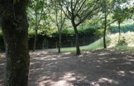 Guimarães ganha Parque Florestal de seis hectares
